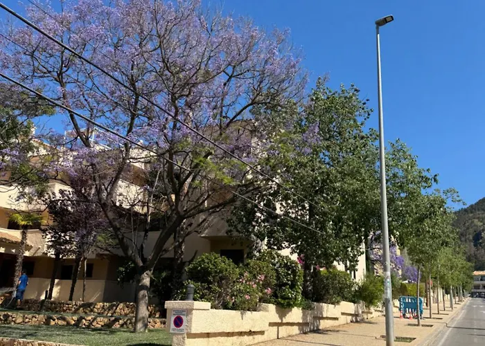 Albir Casa Celeste *